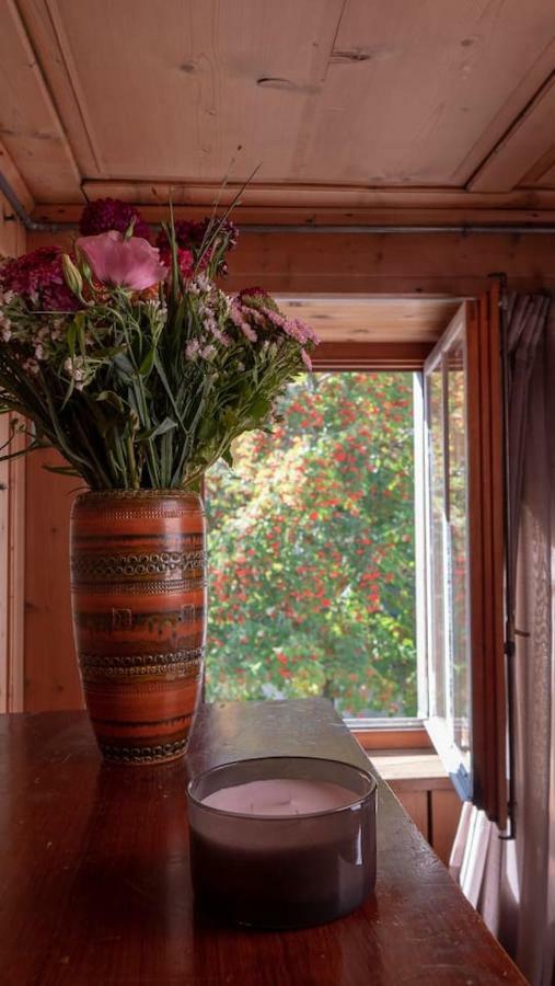 Ferienhaus Septimer Bivio Bagian luar foto